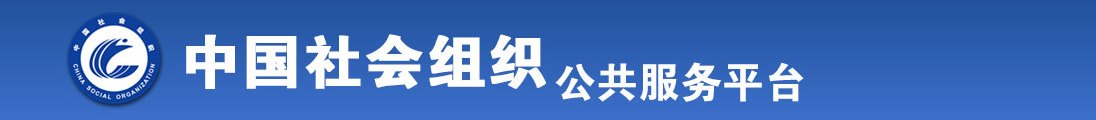 肏b在线全国社会组织信息查询